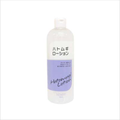REMST RMローションHT×2本